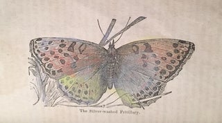 William Seaton and the Butterfly with a History of that Beautiful Insect