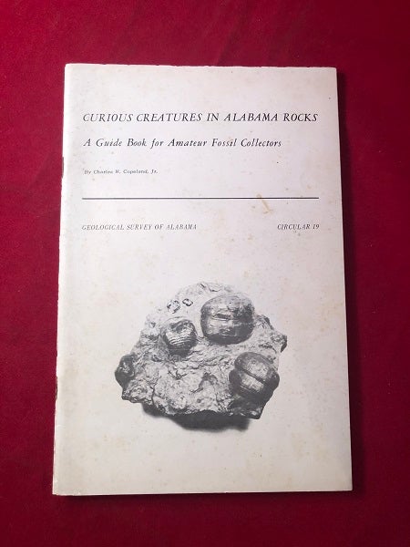 Item #4558 Curious Creatures in Alabama Rocks: A Guidebook for Amateur Fossil Collectors. Charles W. COPELAND.