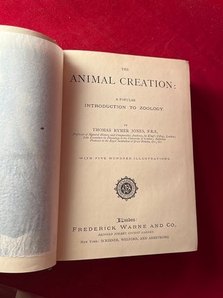The Animal Creation: A Popular Introduction to Zoology
