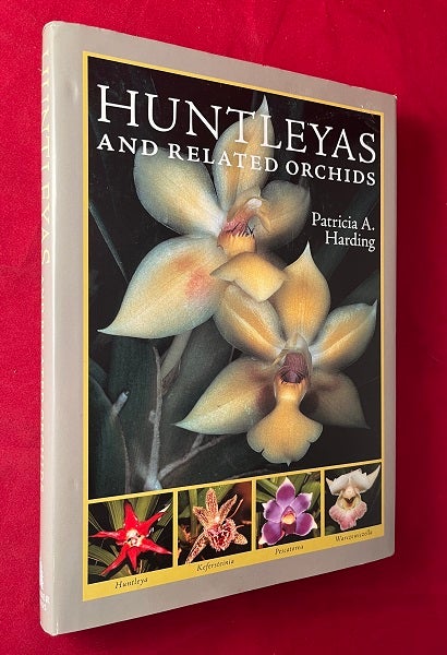 Item #6525 Huntleyas and Related Orchids. Patricia HARDING.